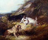 Terriers Rabbiting by George Armfield